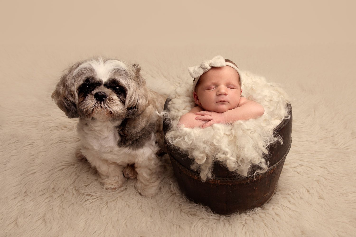 Newborns and pets